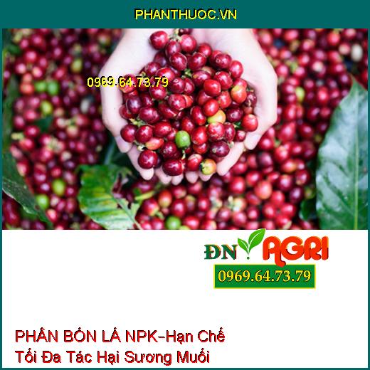 PHÂN BÓN LÁ NPK SINH HỌC –Hạn Chế Tối Đa Tác Hại Sương Muối, Hạt Lớn Đồng Đều