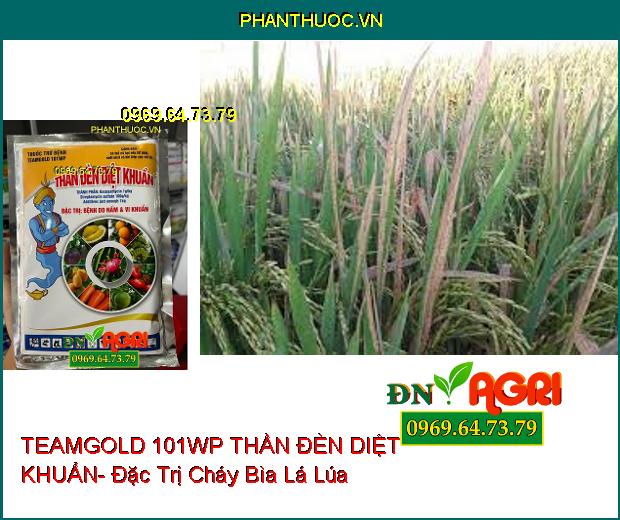 THUỐC TRỪ BỆNH TEAMGOLD 101WP THẦN ĐÈN DIỆT KHUẨN- Đặc Trị Nấm, Vi Khuẩn Trên Cây Trồng