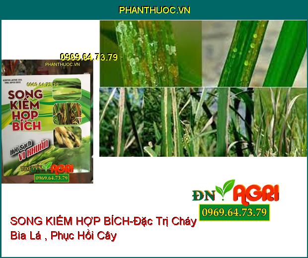 THUỐC TRỪ NẤM BỆNH SONG KIẾM HỢP BÍCH – Đặc Trị Cháy Bìa Lá , Phục Hồi Cây