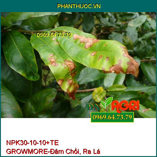 PHÂN BÓN LÁ NPK 30-10-10 +TE GROWMORE- Đẻ Nhánh, Đâm Chồi, Ra Lá Tốt