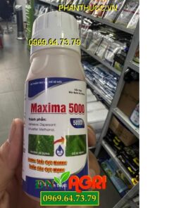 MAXIMA 5000- Chế Phẩm Trợ Lực Loang Trải Tốt