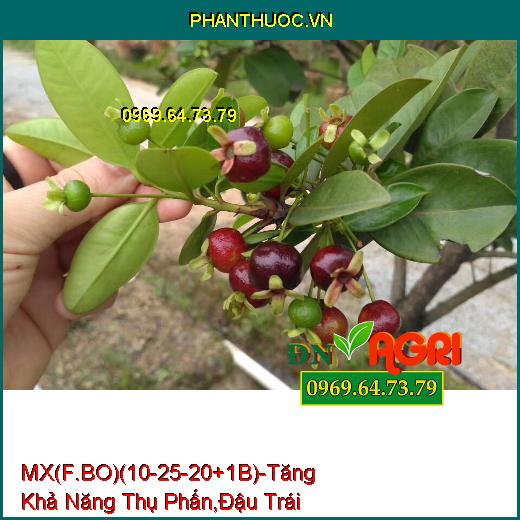 PHÂN BÓN MX(F.BO)(10-25-20+1B) –Tăng Khả Năng Thụ Phấn , Giúp Đậu Trái Nhiều