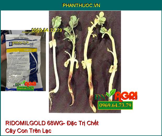 THUỐC TRỪ BỆNH RIDOMILGOLD 68WG- Đặc Trị Sương Mai, Thán Thư, Loét Sọc, Chết Nhanh, Đốm Lá