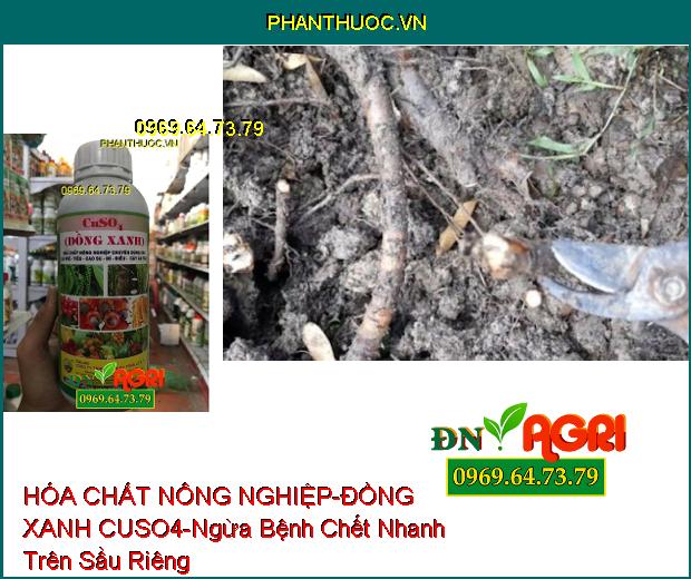 HÓA CHẤT NÔNG NGHIỆP – ĐỒNG XANH CUSO4-Cung Cấp Vi Lượng, Phòng Ngừa Bệnh Nấm