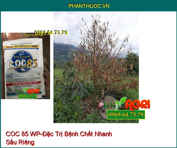 THUỐC TRỪ BỆNH COC 85 WP-Đặc Trị Bệnh Chết Nhanh, Bệnh Gốc Đồng