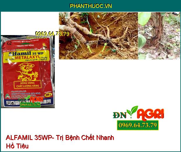 THUỐC TRỪ BỆNH ALFAMIL 35WP- Lưu Dẫn Cực Mạnh, Đặc Trị Hồ Tiêu Chết Nhanh