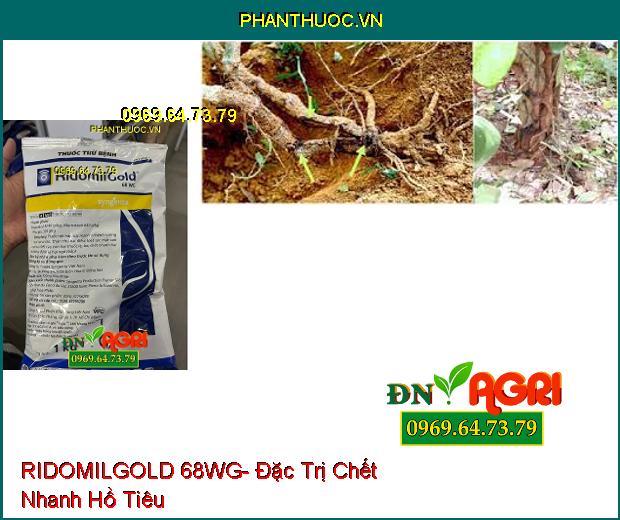 THUỐC TRỪ BỆNH RIDOMILGOLD 68WG- Đặc Trị Sương Mai, Thán Thư, Loét Sọc, Chết Nhanh, Đốm Lá