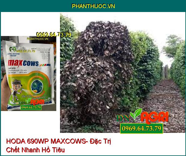 THUỐC TRỪ BỆNH HODA 690WP MAXCOWS- ĐẶC TRỊ THÁN THƯ, PHẤN TRẮNG GÂY HẠI TRÊN CÂY XOÀI