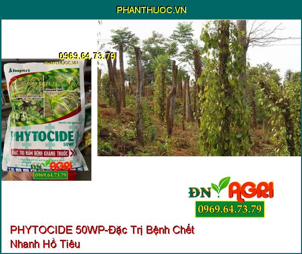 THUỐC TRỪ BỆNH PHYTOCIDE 50WP-Đặc Trị Nấm Bệnh Kháng Thuốc