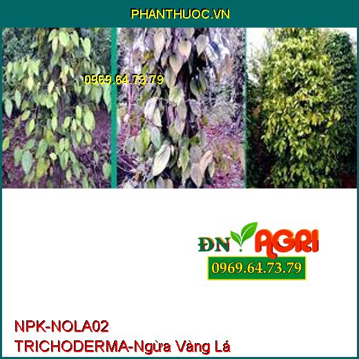 NPK- NOLA02 TRICHODERMA NÔNG LÂM - Ủ Vỏ Cà Phê, Phòng Vàng Lá, Thối Gốc