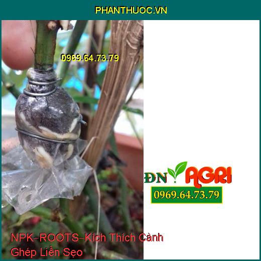 PHÂN BÓN HỖN HỢP NPK–ROOTS–Kích Thích Cành Ghép Liền Sẹo, Kích Thích Hạt Nảy Mầm