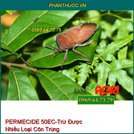 PERMECIDE 50EC- Tác Dụng Rộng Trừ Được Nhiều Loại Côn Trùng, Bọ Xít, Muỗi Sâu