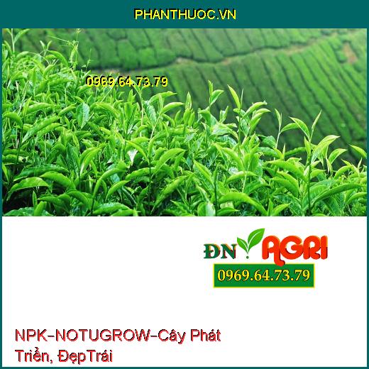 PHÂN BÓN NPK BỔ SUNG VI LƯỢNG – NOTUGROW –Cây Phát Triển Nhanh, Bóng Đẹp Trái