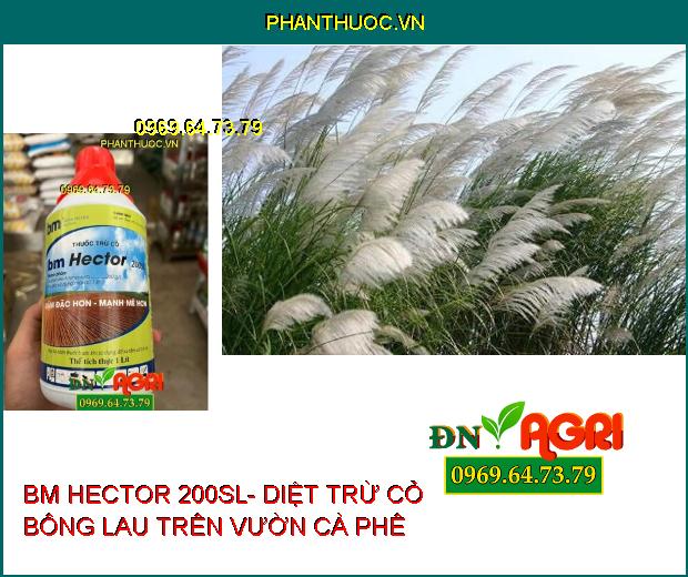 BM HECTOR 200SL- Thuốc Diệt Cỏ không Chọn Lọc , Diệt Cỏ Tranh, Mần Trầu