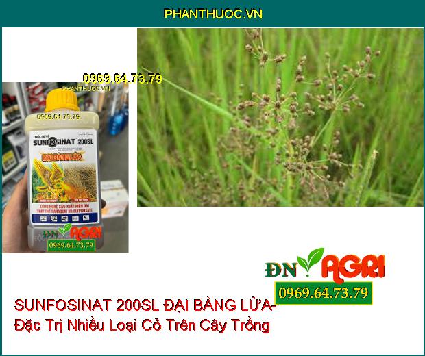 THUỐC TRỪ CỎ SUNFOSINAT 200SL ĐẠI BÀNG LỬA- Đặc Trị Nhiều Loại Cỏ Trên Cây Trồng