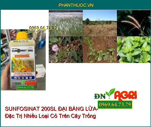 THUỐC TRỪ CỎ SUNFOSINAT 200SL ĐẠI BÀNG LỬA- Đặc Trị Nhiều Loại Cỏ Trên Cây Trồng