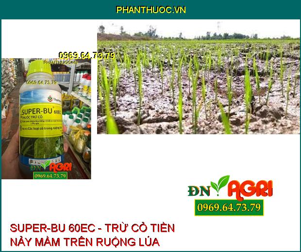 THUỐC TRỪ CỎ SUPER-BU 60EC - Trừ Được Nhiều Loại Cỏ Cho Lúa Và Cây Trồng