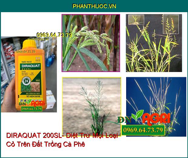 THUỐC TRỪ CỎ DIRAQUAT 200SL- Diệt Trừ Mọi Loại Cỏ Trên Đất Trồng Cà Phê