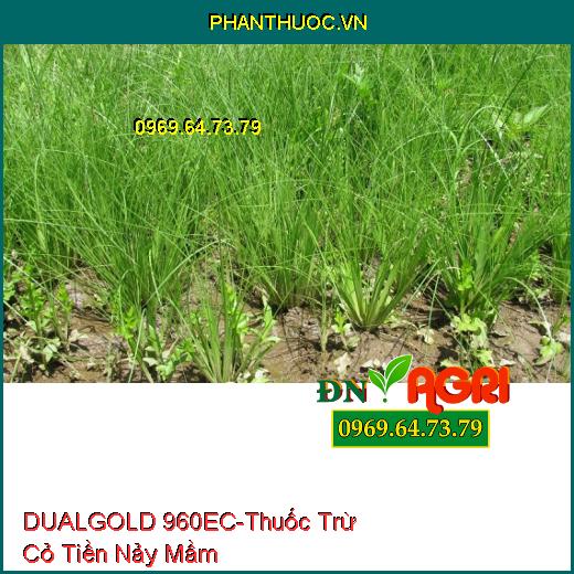 THUỐC TRỪ CỎ DUALGOLD 960EC – Thuốc Trừ Cỏ Tiền Nảy Mầm, Cỏ Lá Hẹp, Lá Rộng