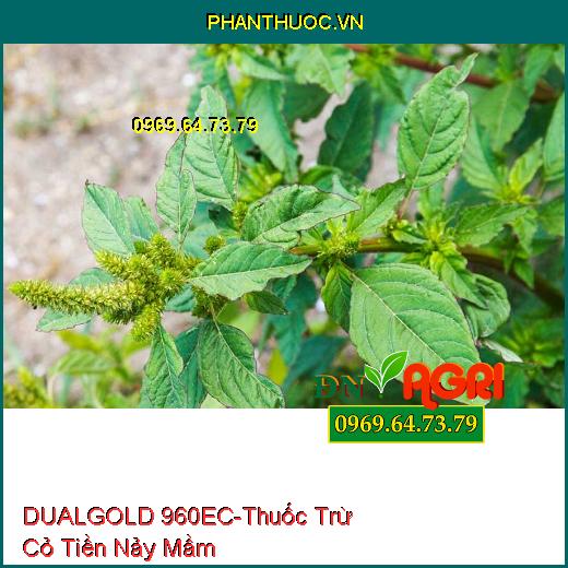 THUỐC TRỪ CỎ DUALGOLD 960EC – Thuốc Trừ Cỏ Tiền Nảy Mầm, Cỏ Lá Hẹp, Lá Rộng