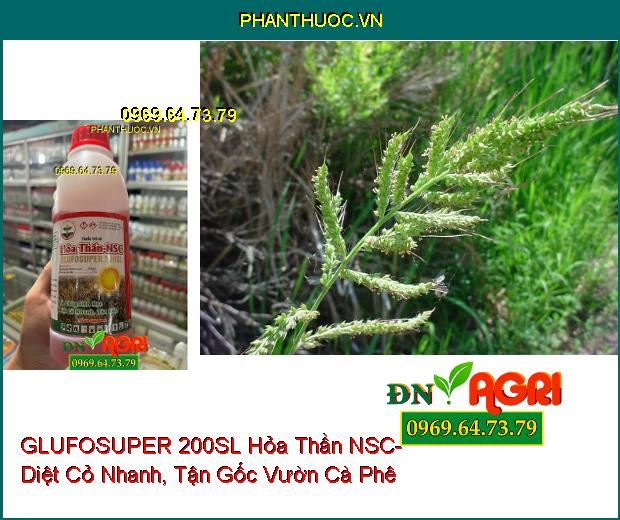 GLUFOSUPER 200SL Hỏa Thần NSC- Cỏ Cháy Sinh Học Diệt Cỏ Nhanh, Tận Gốc