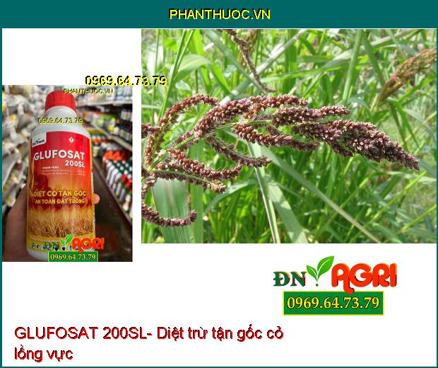 GLUFOSAT 200SL- Diệt Được Nhiều Loại Cỏ, Cỏ Lá Rộng, Cỏ Kháng Thuốc