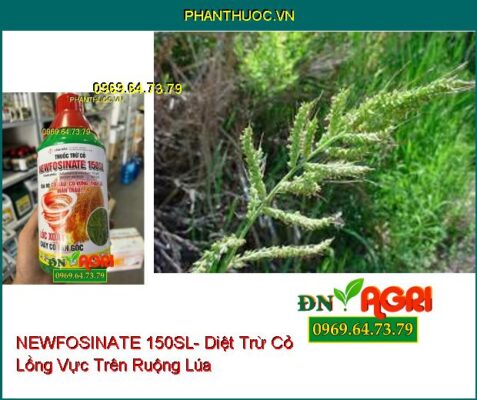 THUỐC TRỪ CỎ NEWFOSINATE 150SL- Trừ Cỏ Tận Gốc, Đặc Trị Cỏ Gấu, Cỏ Vừng, Thài Lài, Mần Trầu