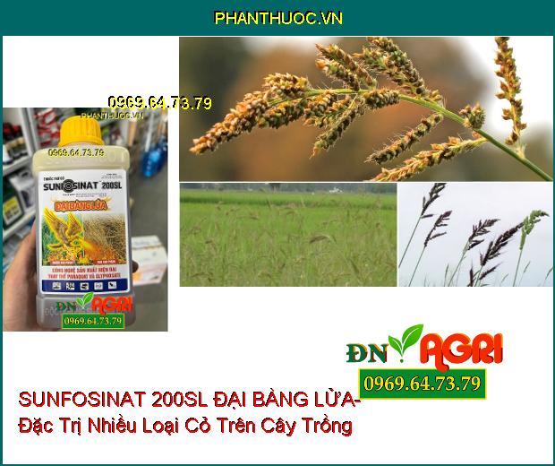 THUỐC TRỪ CỎ SUNFOSINAT 200SL ĐẠI BÀNG LỬA- Đặc Trị Nhiều Loại Cỏ Trên Cây Trồng