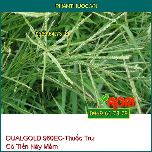 THUỐC TRỪ CỎ DUALGOLD 960EC – Thuốc Trừ Cỏ Tiền Nảy Mầm, Cỏ Lá Hẹp, Lá Rộng