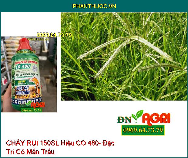 CHÁY RỤI 150SL Hiệu CO 480- Đặc Trị Cỏ Tranh, Lồng Vực, Dền Gai, Mắc Cỡ, Rau Sam