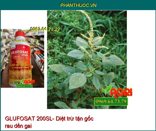 GLUFOSAT 200SL- Diệt Được Nhiều Loại Cỏ, Cỏ Lá Rộng, Cỏ Kháng Thuốc