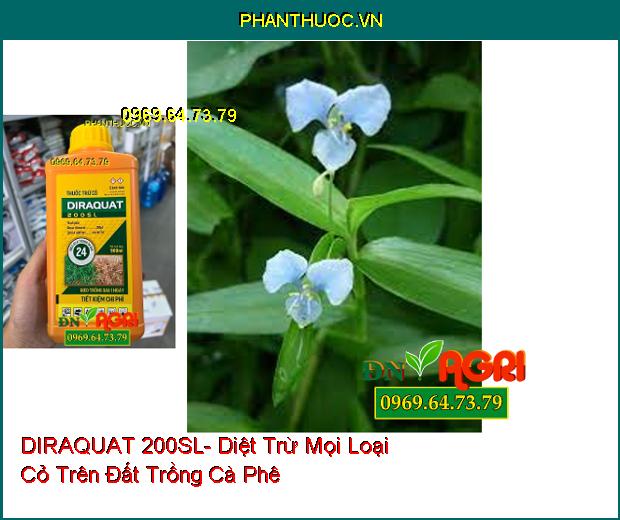 THUỐC TRỪ CỎ DIRAQUAT 200SL- Diệt Trừ Mọi Loại Cỏ Trên Đất Trồng Cà Phê