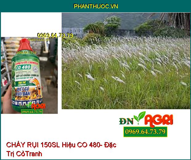 CHÁY RỤI 150SL Hiệu CO 480- Đặc Trị Cỏ Tranh, Lồng Vực, Dền Gai, Mắc Cỡ, Rau Sam