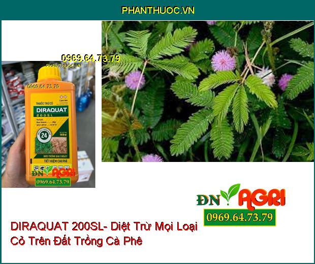 THUỐC TRỪ CỎ DIRAQUAT 200SL- Diệt Trừ Mọi Loại Cỏ Trên Đất Trồng Cà Phê