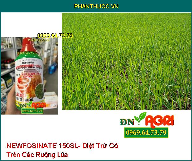 THUỐC TRỪ CỎ NEWFOSINATE 150SL- Trừ Cỏ Tận Gốc, Đặc Trị Cỏ Gấu, Cỏ Vừng, Thài Lài, Mần Trầu