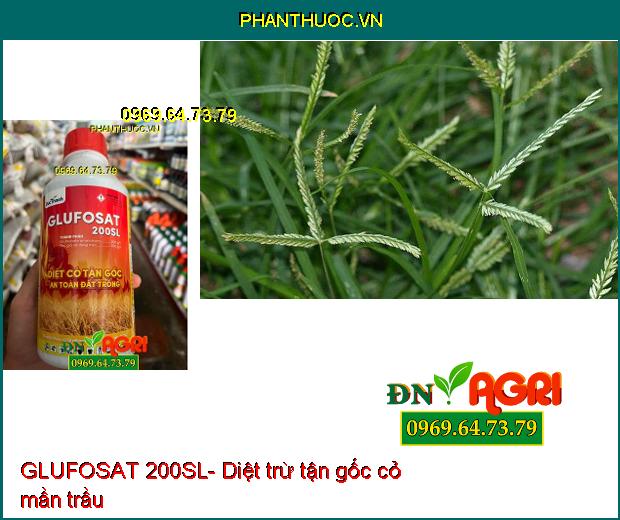 GLUFOSAT 200SL- Diệt Được Nhiều Loại Cỏ, Cỏ Lá Rộng, Cỏ Kháng Thuốc