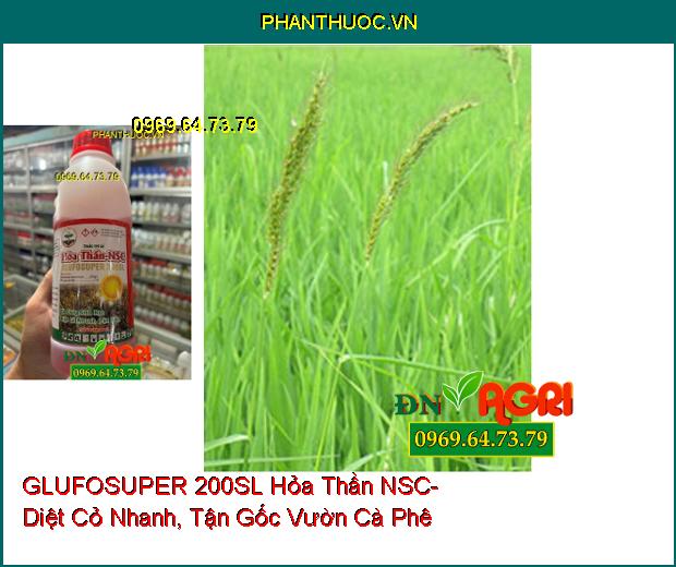 GLUFOSUPER 200SL Hỏa Thần NSC- Cỏ Cháy Sinh Học Diệt Cỏ Nhanh, Tận Gốc