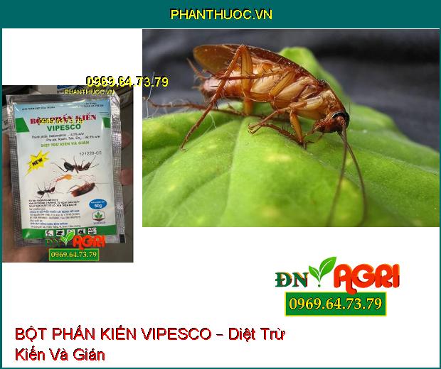 BỘT PHẤN KIẾN VIPESCO – Diệt Trừ Kiến Và Gián