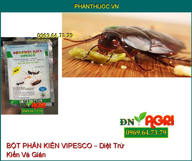 BỘT PHẤN KIẾN VIPESCO – Diệt Trừ Kiến Và Gián