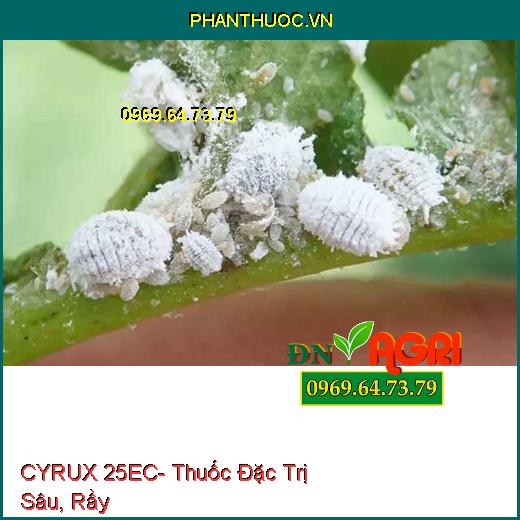 CYRUX 25EC- Thuốc Đặc Trị Sâu, Rầy