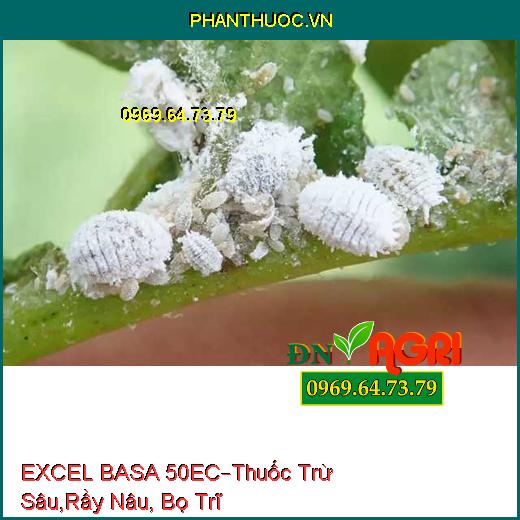 EXCEL BASA 50EC – Thuốc Trừ Sâu, Rầy Nâu, Bọ Trĩ, Rầy Cám Hại Lúa