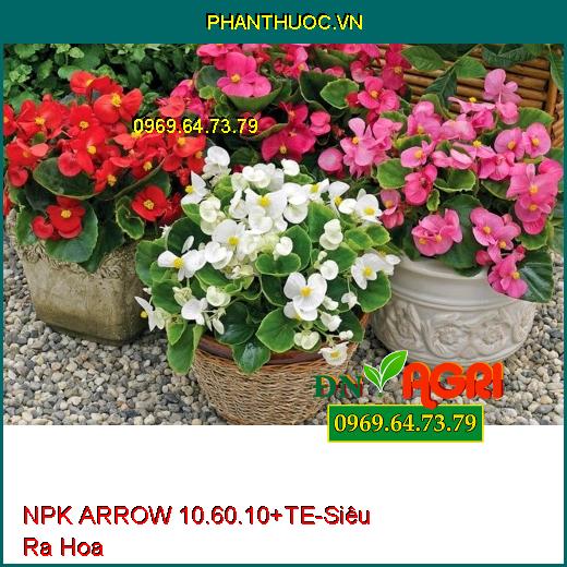 PHÂN BÓN LÁ HỖN HỢP NPK ARROW 10.60.10+TE - Siêu Ra Hoa, Hạn Chế Sâu Bệnh