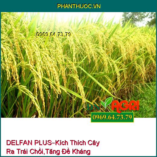 PHÂN BÓN LÁ CAO CẤP DELFAN PLUS– Kích Thích Cây Ra Hạt Trái Chồi, Tăng Đề Kháng