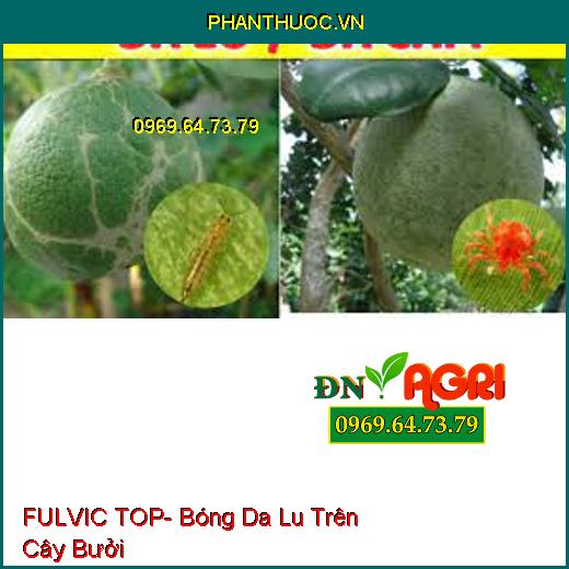 FULVIC TOP- Bóng Da Lu, Chống Ghẻ Lá, Rong Rêu,To Trái, Vỏ Đẹp, Nặng Ký
