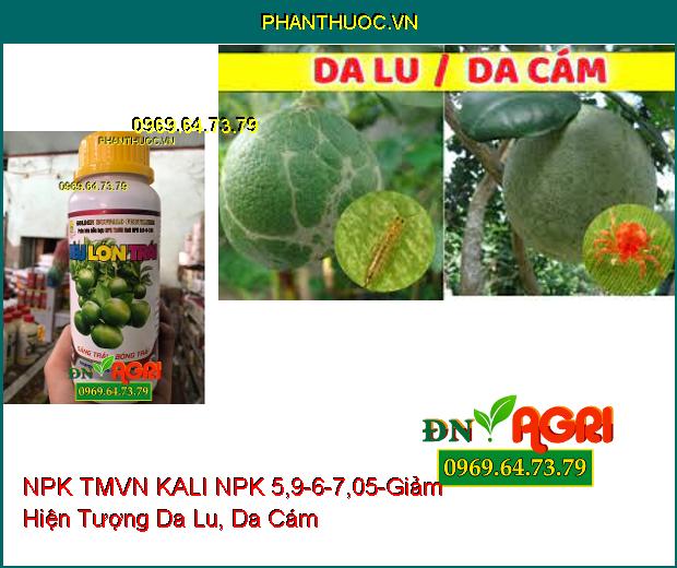 PHÂN BÓN HỖN HỢP NPK TMVN KALI NPK 5,9-6-7,05-Trái Lớn, Giảm Nứt Trái, Da Lu