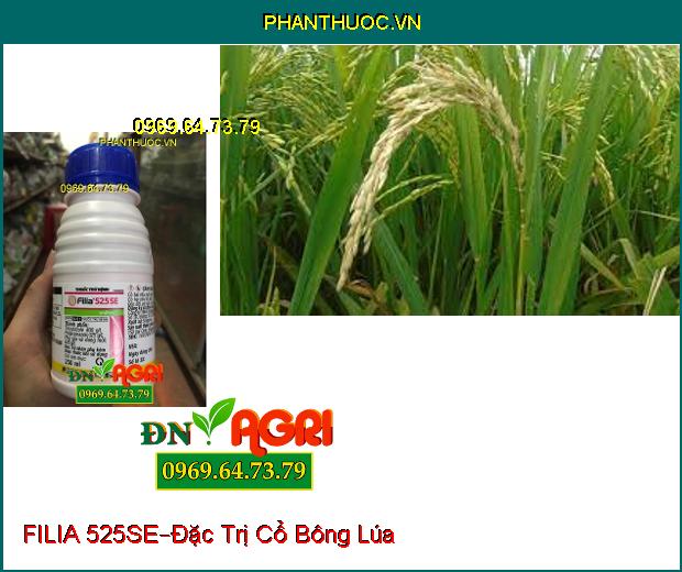 THUỐC TRỪ BỆNH FILIA 525SE –Đặc Trị Đạo Ôn Lá, Cổ Bông, Nhánh Gié, Cuống Hạt