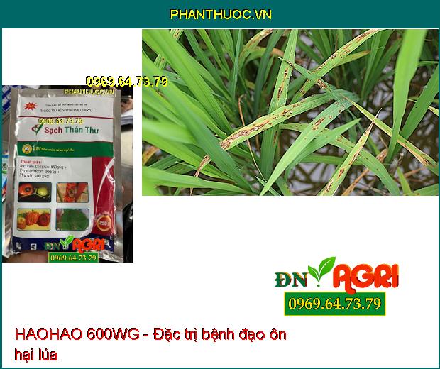 HAOHAO 600WG- Sạch Thán Thư, Phấn Trắng, Đạo Ôn, Sương Mai, Rỉ Sắt