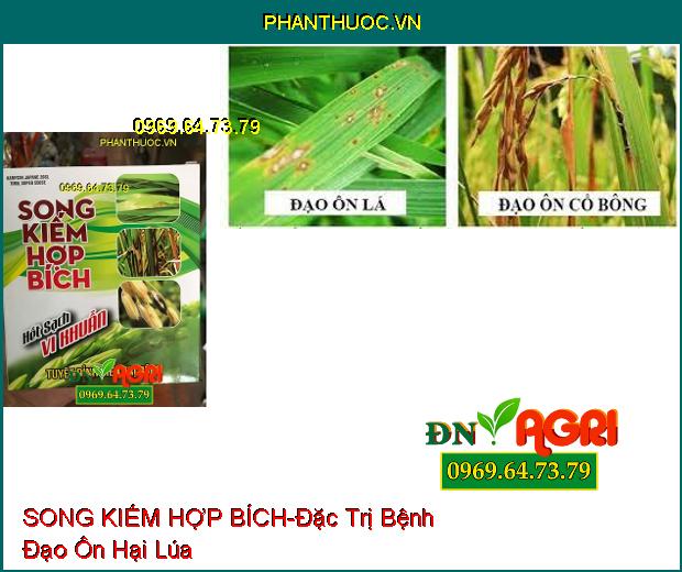 THUỐC TRỪ NẤM BỆNH SONG KIẾM HỢP BÍCH – Đặc Trị Cháy Bìa Lá , Phục Hồi Cây