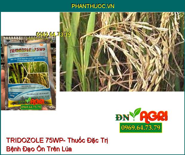 TRIDOZOLE 75WP- Thuốc Đặc Trị Bệnh Đạo Ôn Do Nấm Pyricularia Oryzae