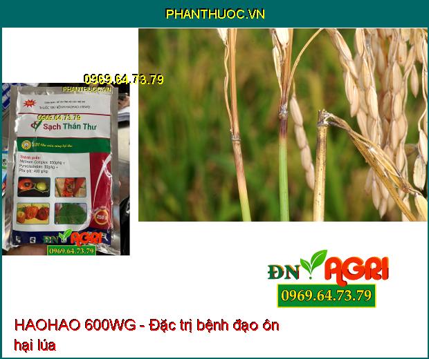 HAOHAO 600WG- Sạch Thán Thư, Phấn Trắng, Đạo Ôn, Sương Mai, Rỉ Sắt